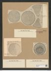 Coscinodiscus apiculatus Ehr. (de-Toni-Nr.: Genus 202, Species 5078) Zeichnungen Sammlung Grunow Nr. 8828 (NHMW-BOT-W0378447)